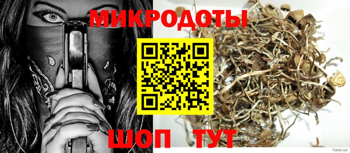 Галлюциногенные грибы Psilocybe  Вход с VPN  наркотики  Псилоцибиновые грибы мицелий  Лабинск 